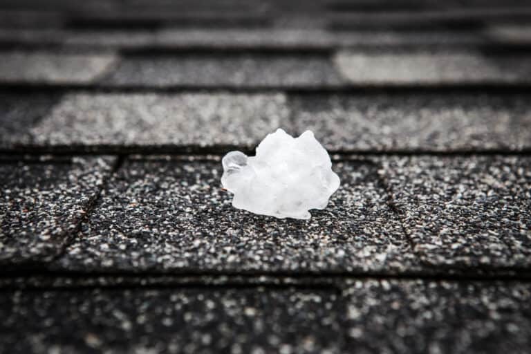 hail damage vs blistering large chunk of hail on asphalt roof