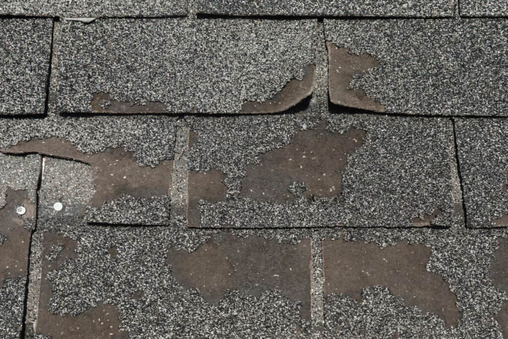 how to file a roof insurance claim close up view of asphalt shingle granule loss and curling shingles