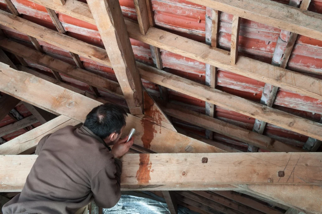 homeowner decides on reroofing after finding leak in attic