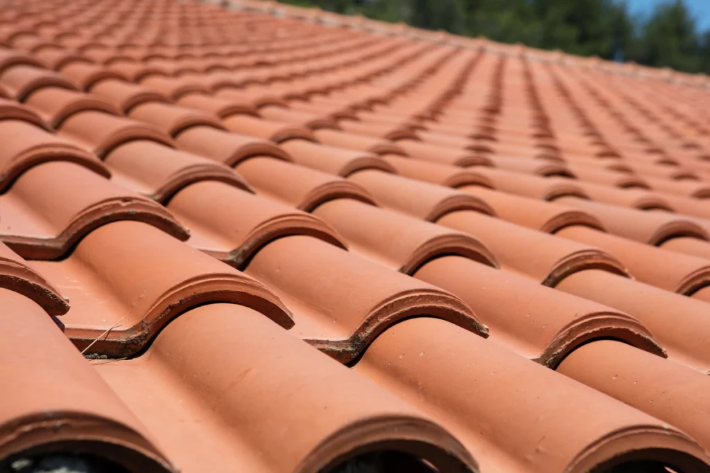close up of clay tiles on a roof
