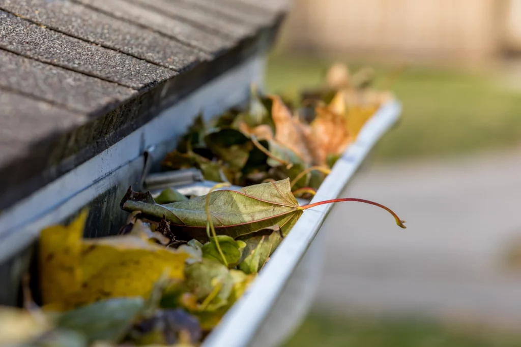 Close-up of a house gutter filled with dried leaves. The slanted roof and shingles are visible on the left, while the blurred background suggests an outdoor setting, perhaps highlighting the need to learn how to install a gutter guard for easier maintenance.