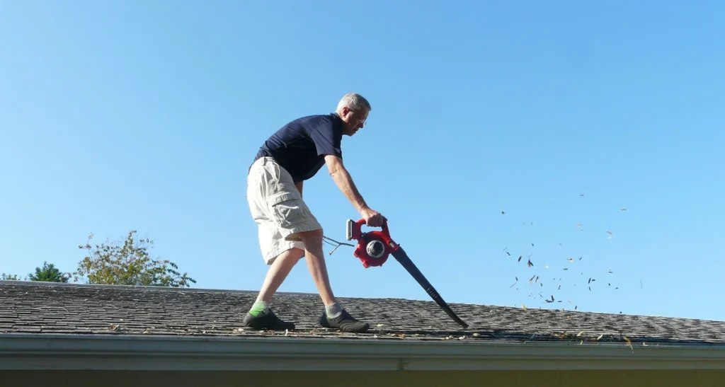 leaf blower on the roof