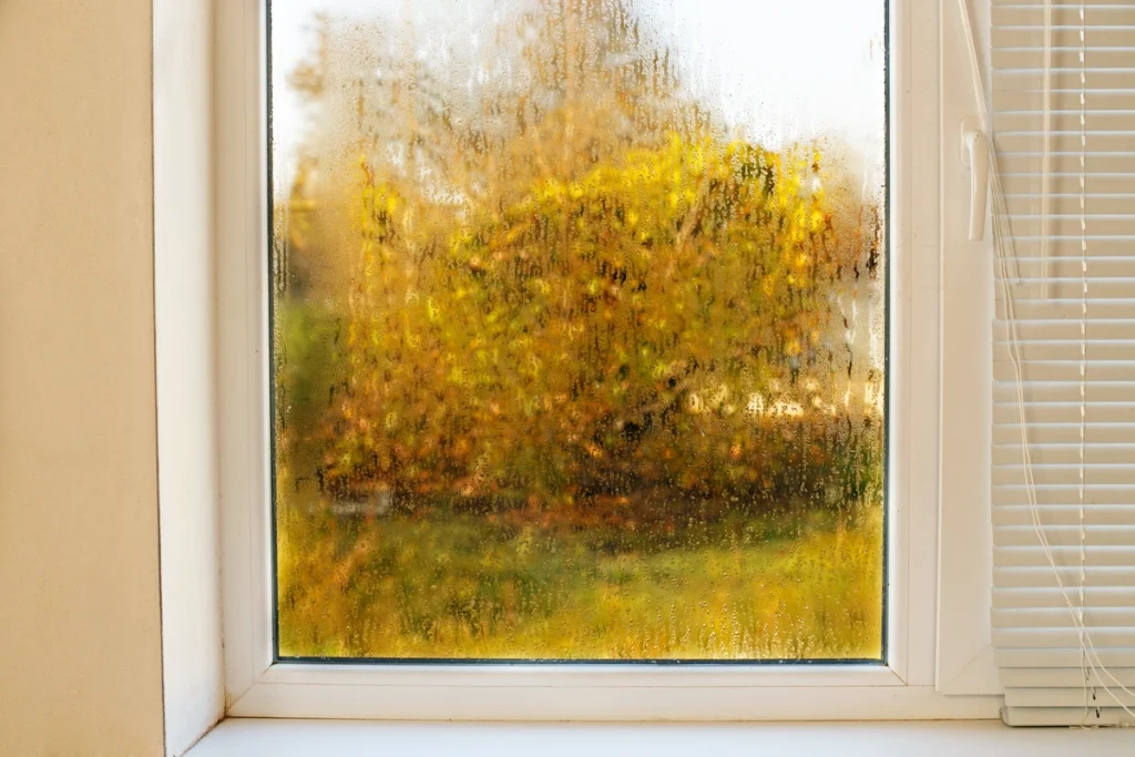 foggy window in autumn