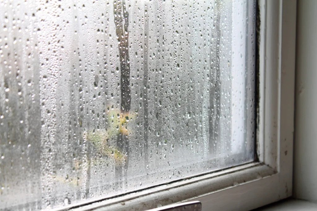 foggy window