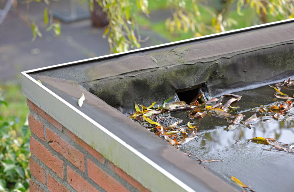 roof drainage system