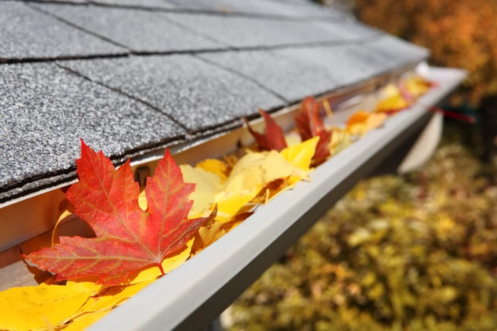Leaves in Gutters