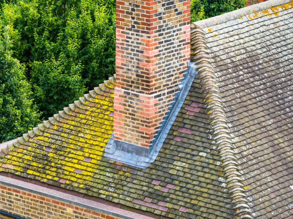 Mossy Roof Chimney Flashing