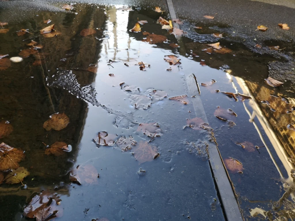 leaves in ponding on roof