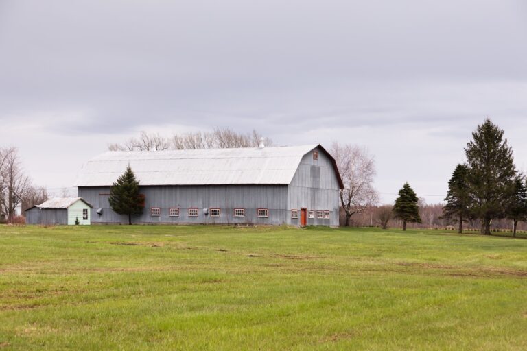 Metal gambrel roof on barn