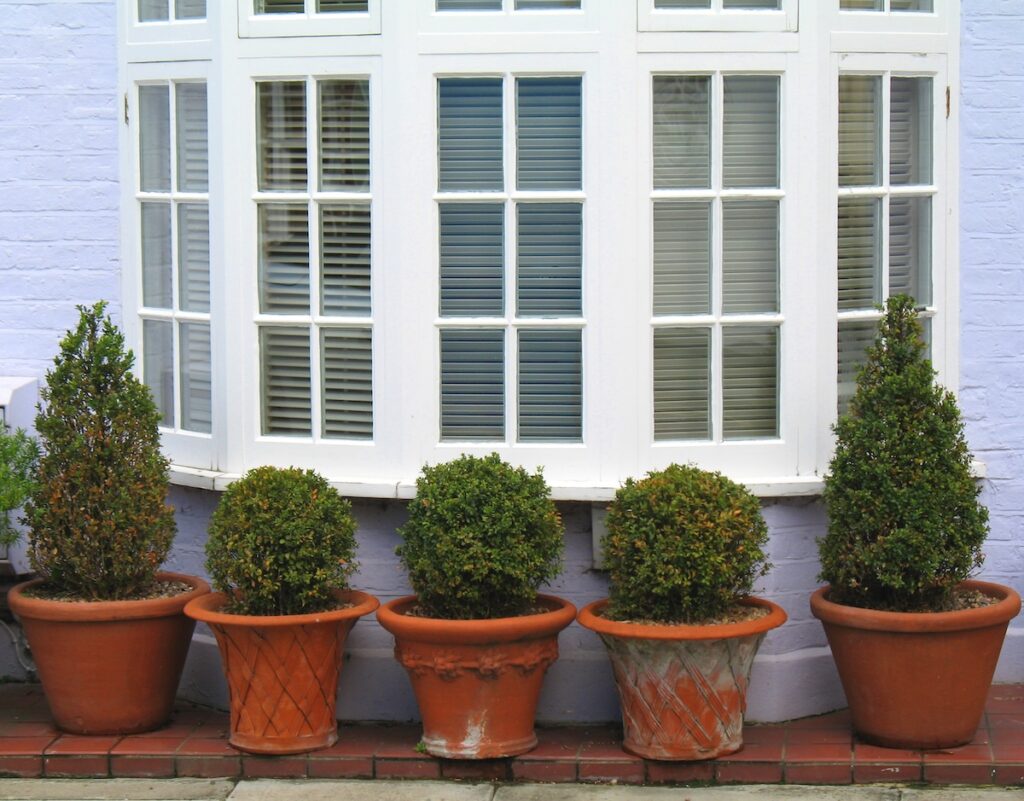 Bow window with white trim