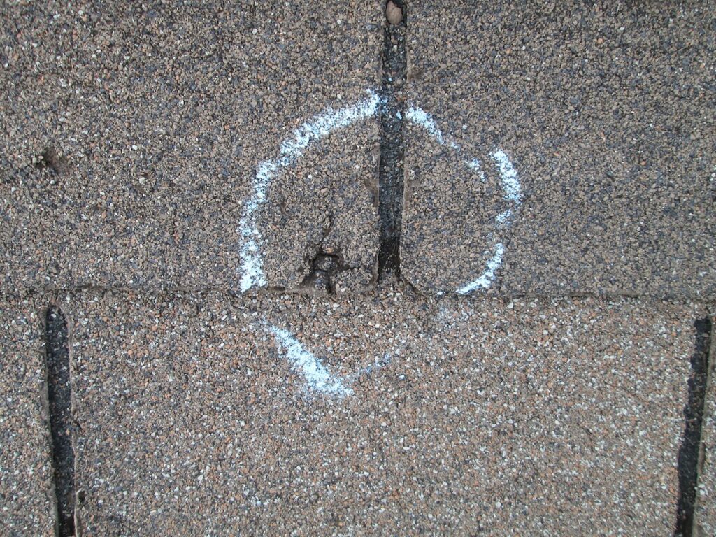 Roof Hail Damaged Shingles Inspection