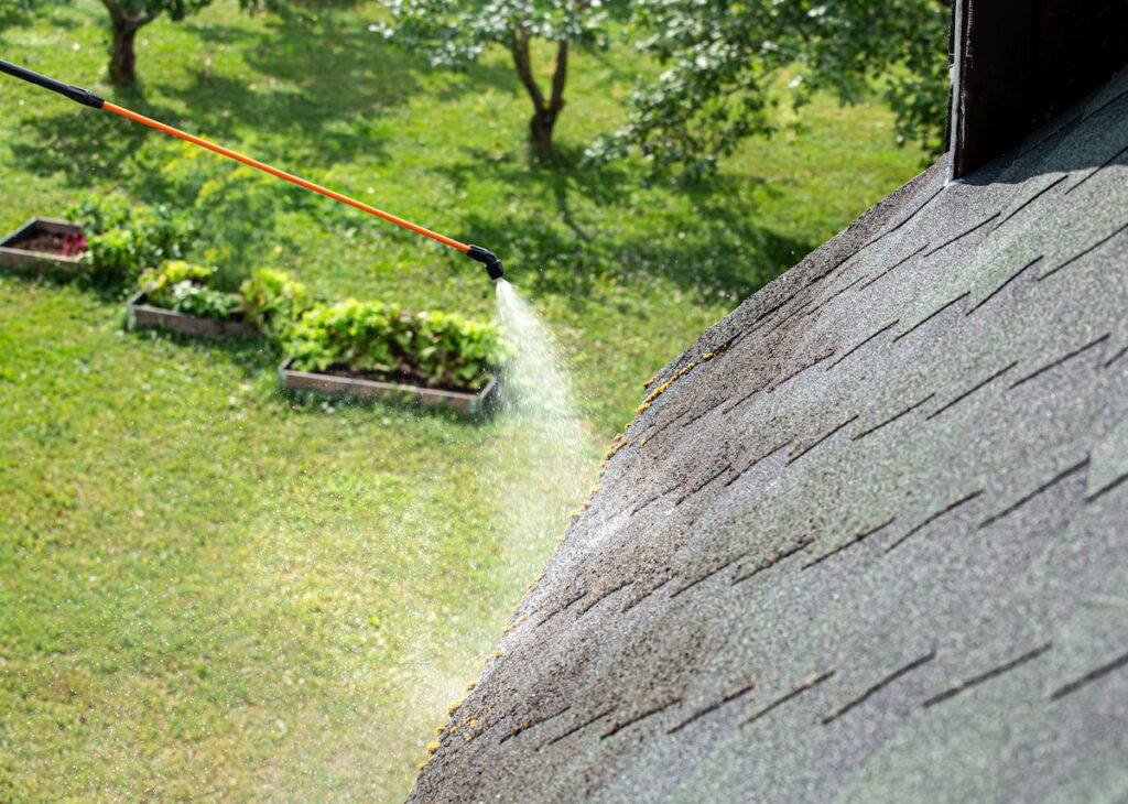 Spraying moss removing chemical to domestic home roof.