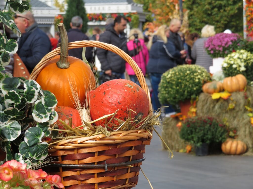 Wicker basket with pumpkins on farm market outdoors. Harvest holiday, festive decorations with pumpkins