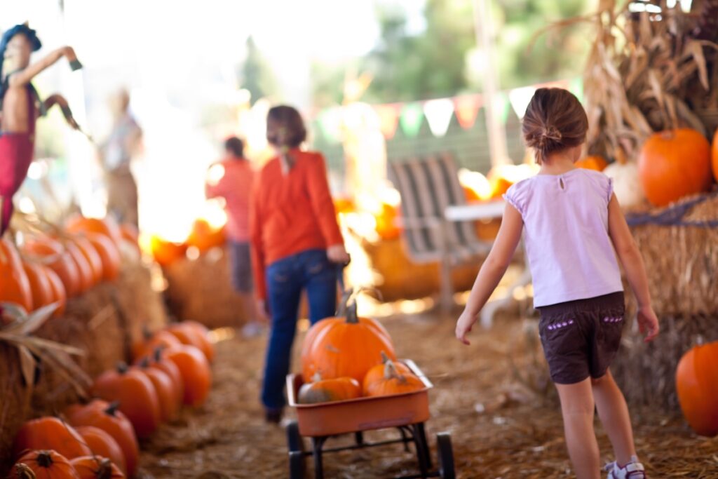 Little Girls Pulling Their Pumpkins In A Wagon At A Pumpkin Patch on a Fall Day.