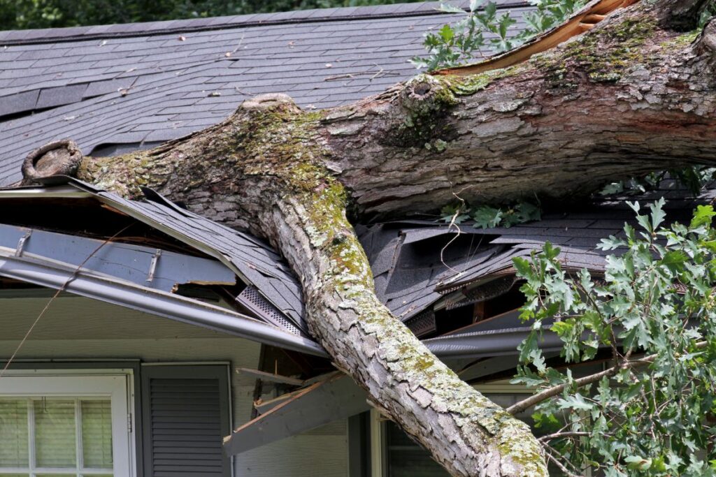 roof with storm damage