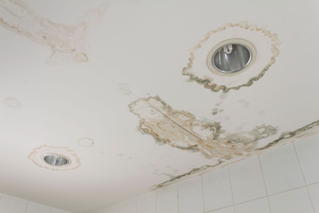 ceiling water damage repair mold around lights