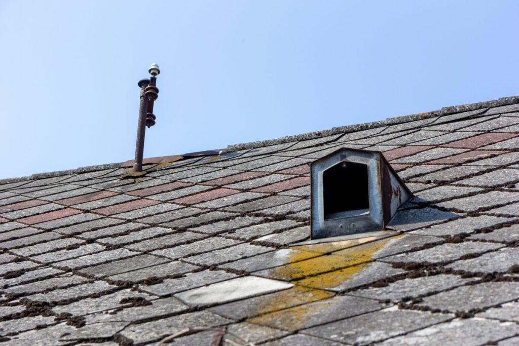 gaf warranty brown shingles roof algae and moss