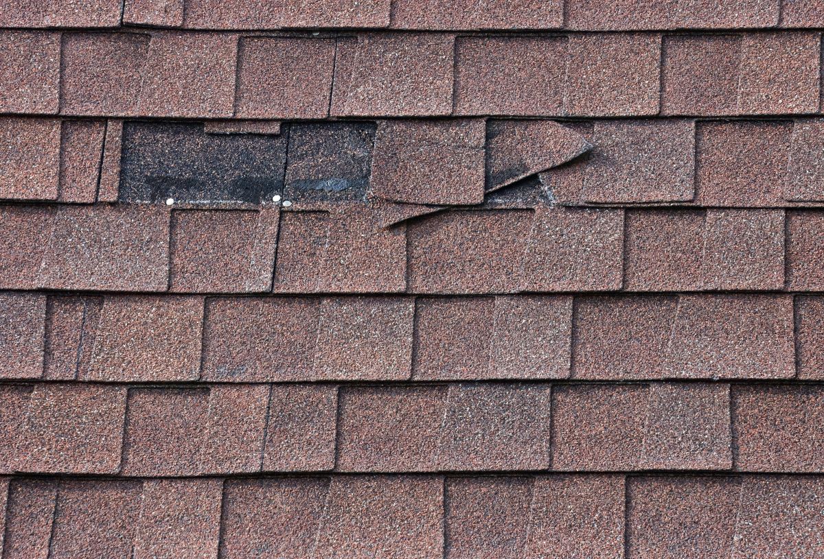 wind damage roof repair brown shingles missing close up dark spots