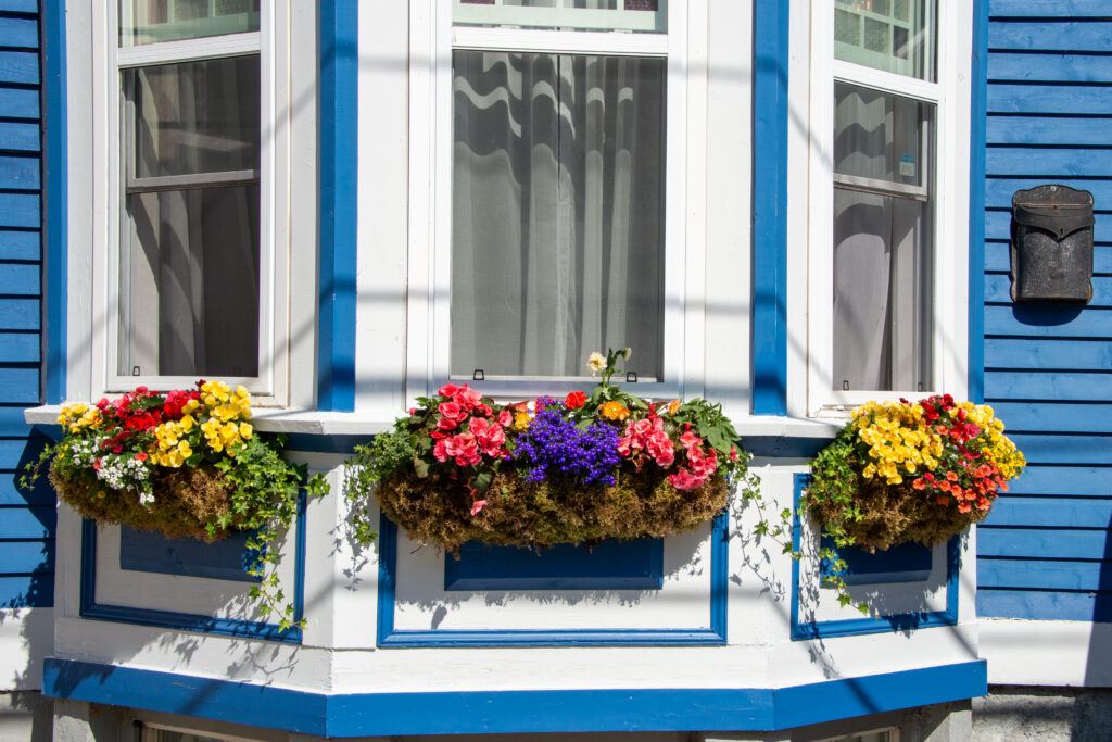bay window installation A bright blue vintage wooden building with a bay window. There's a narrow black metal mailbox or post box, three window flower boxes filled with colorful flowers, white curtains, and white trim.