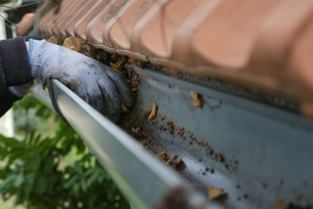 Cleaning the gutter from autumn leaves before winter season. 