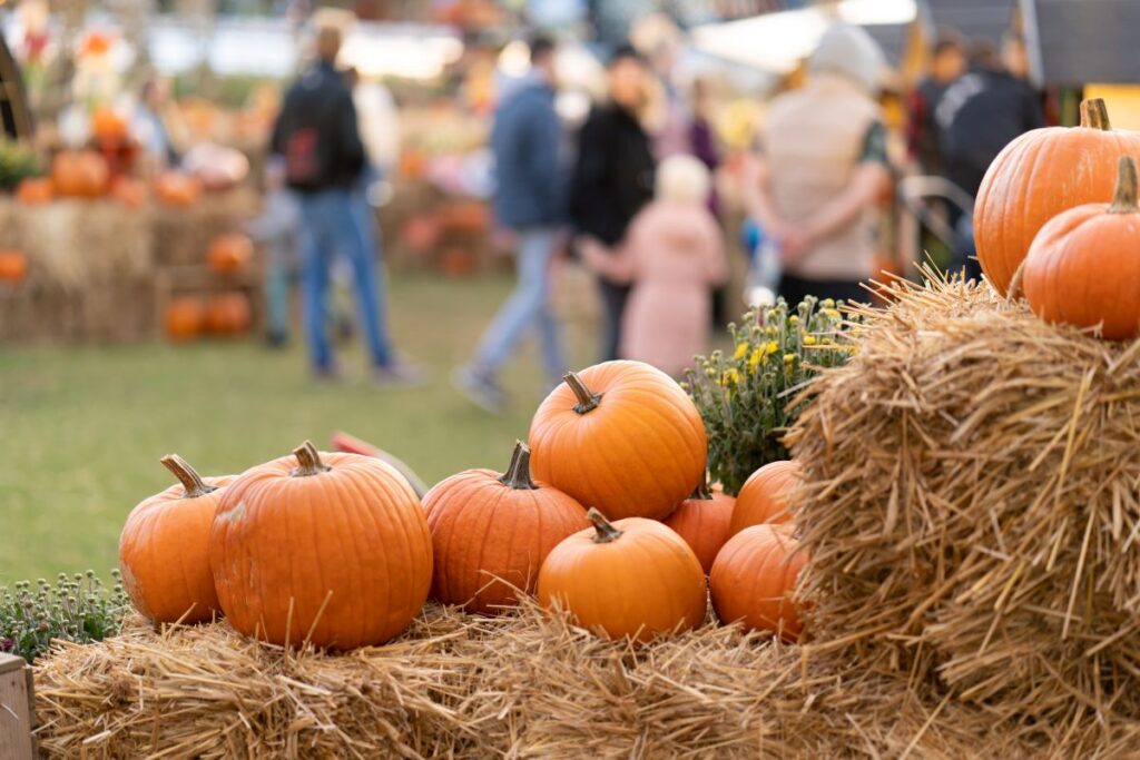 Pumpkins on straw bales against the background of people at an agricultural fair
